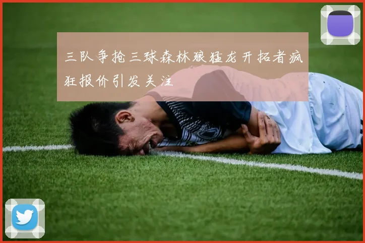 三队争抢三球森林狼猛龙开拓者疯狂报价引发关注