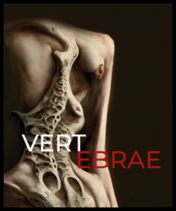 vertebrae-book-horror-stories-for-different-states-of-consciousness-shop-black-background